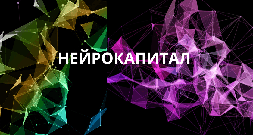 neirokapital katalog kursov besplatnye i platnye kursy raznyh avtorov
